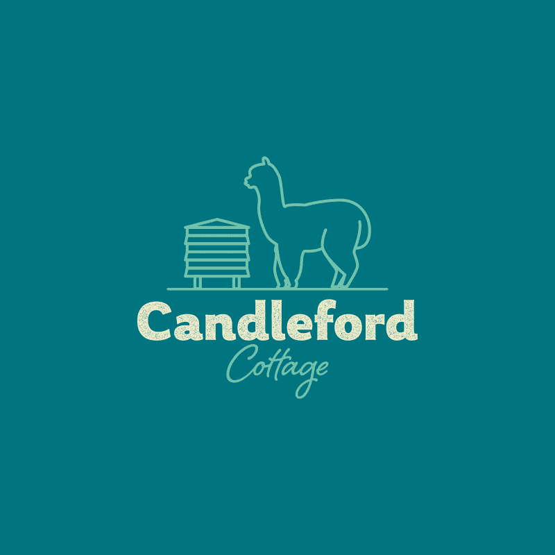 Brand Identity with Character for Candleford Cottage featuring line art logo of beehive and alpaca | Abergast